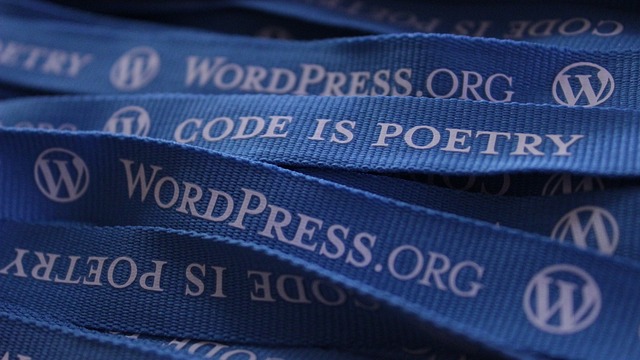 Scopri come i Temi di WordPress possono portare il tuo Sito Web al Livello Successivo!.